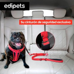 Correa antitirones perro apta para coche