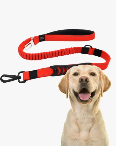 Correa antitirones perro apta para coche