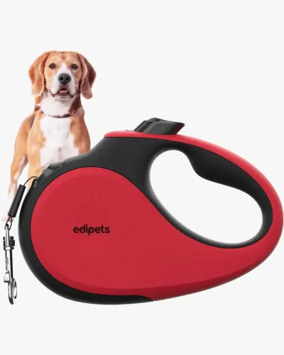 Correa Perro Extensible, 5 metros